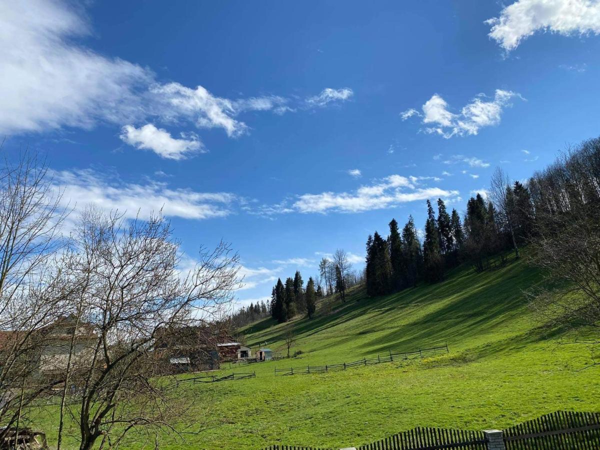 Apartamenty U Basi Leśnica Exteriör bild